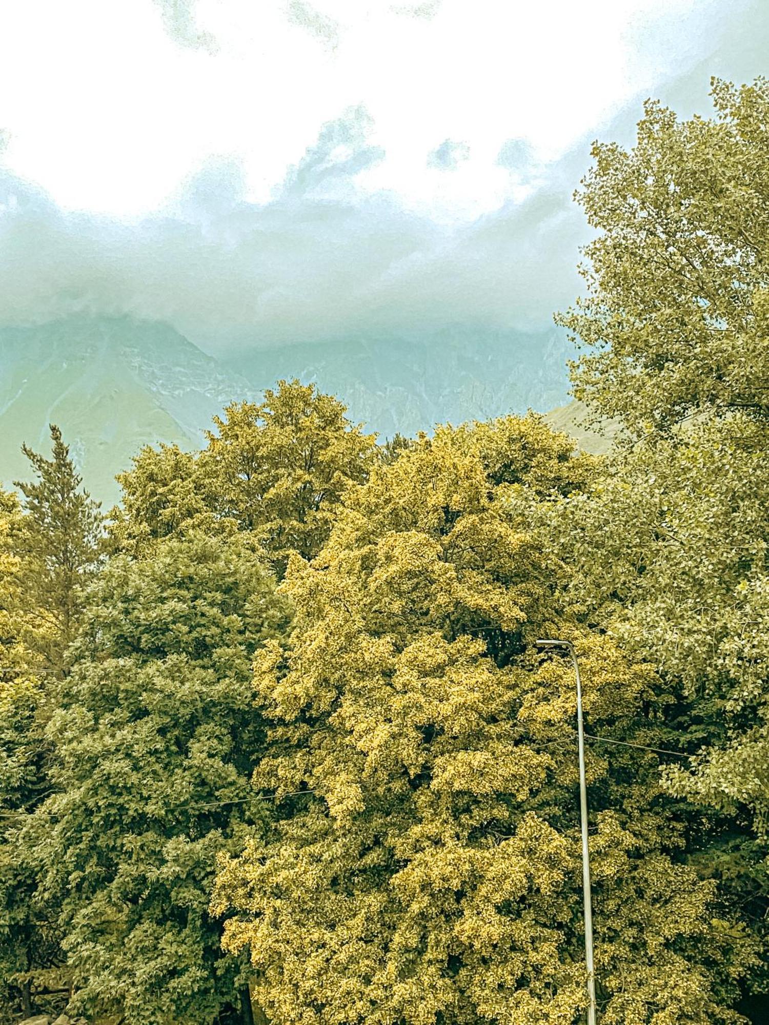 Hotel Gold Kazbegi Ngoại thất bức ảnh