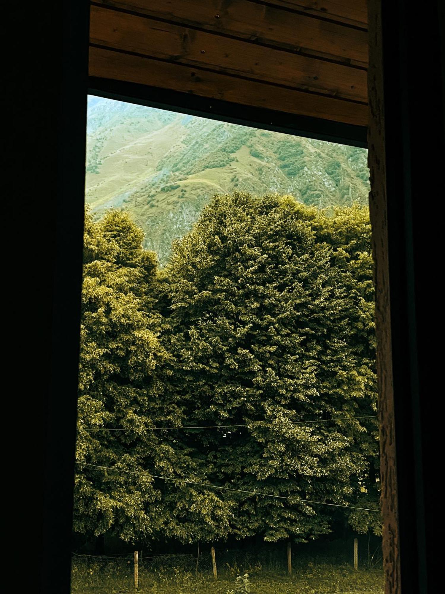 Hotel Gold Kazbegi Ngoại thất bức ảnh
